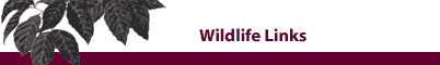 Wildlife Links