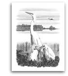 Great Egrets pencil drawing